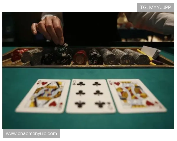 澳门六张赌牌持有者的财务状况与盈利能力全面评估 澳门六张赌牌持有者的财务状况与盈利能力全面评估