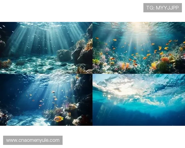 海洋之神官网真人游戏版本更新内容预览带你探索海底世界的新奇与精彩